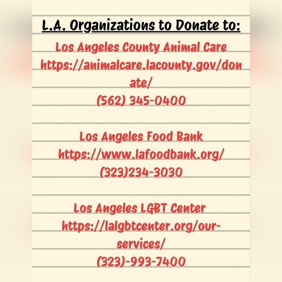 Los Angeles Organizations to Donate to for Fire Relief - Picture 1 of 1